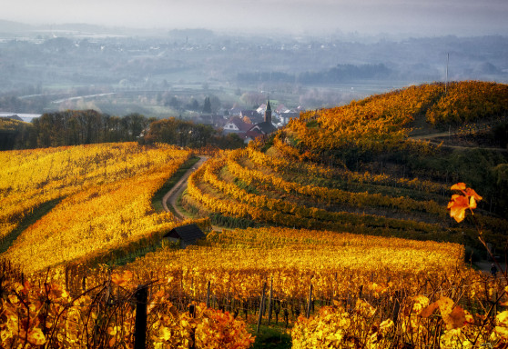 Landschaft