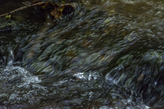 Kalender 12+1 Bilder