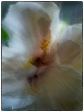 Kalender 12+1 Bilder