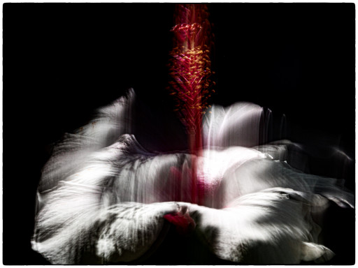 Kalender 12+1 Bilder