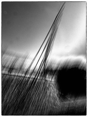 Linien