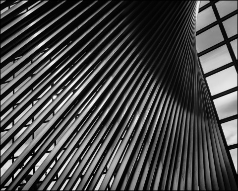 Linien