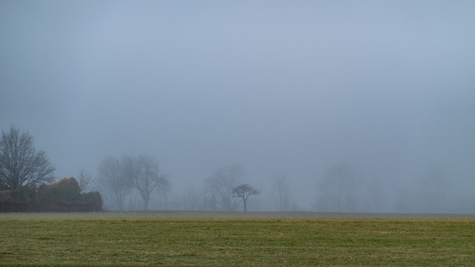 Nebel